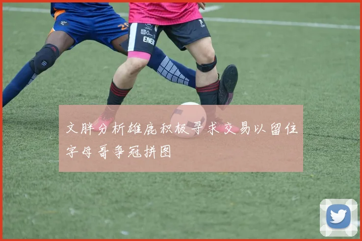 文胖分析雄鹿积极寻求交易以留住字母哥争冠拼图