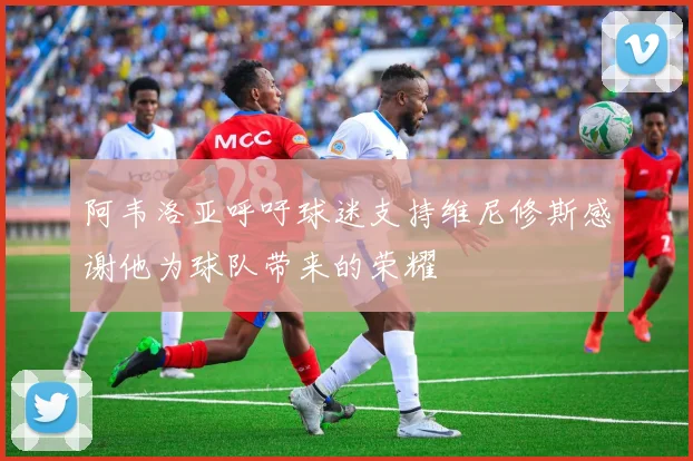 阿韦洛亚呼吁球迷支持维尼修斯感谢他为球队带来的荣耀